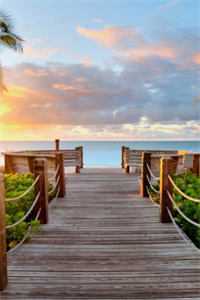 晚风残月惹浮生全本小说推荐