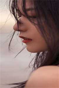 人间客借问蓬莱小说畅读