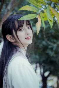 此后春雪不相逢完整