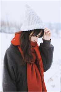 晚棠不知故人改免费阅读