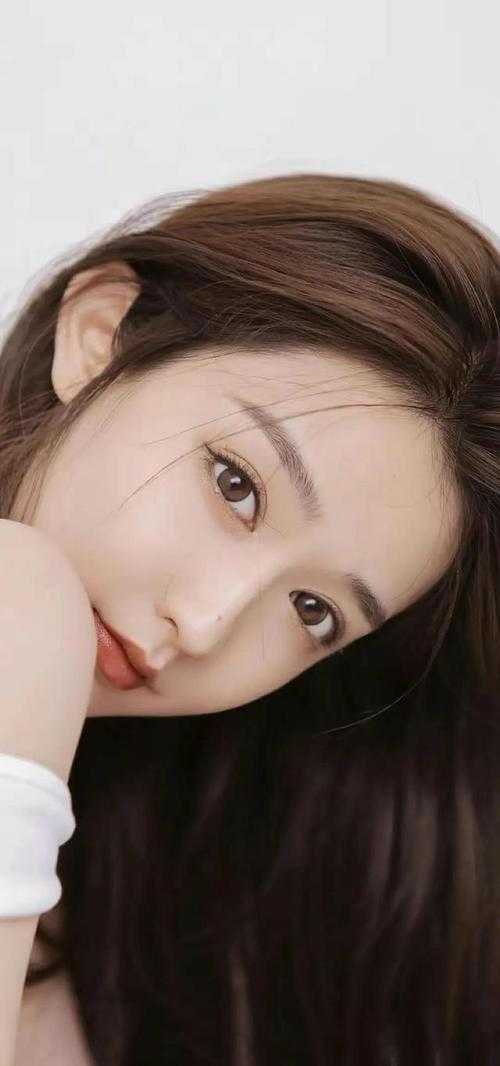 扶腰宠精品推荐