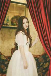 玫瑰已随晚霞逝最新章节列表