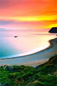 望断青山君不还全文阅读最新