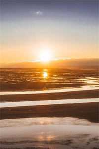 情止黎明前免费