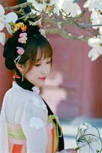 外交翻译官：我的征途是山河无恙精彩