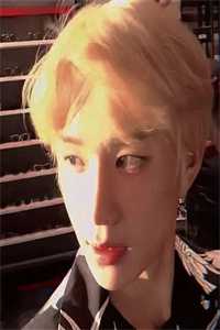 我将春山付雪葬小说全文免费