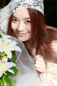 情止黎明前试读