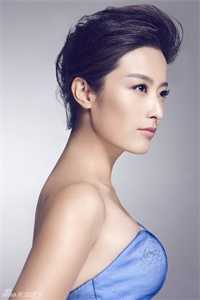 新雪已覆来时路宁婉沈驰野全文免费