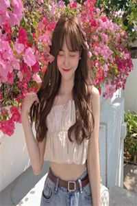 相偕不负良辰夜曲红昭楚今渊结局+番外