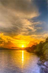 养的狼狗长大后，会捅主人了？完结文