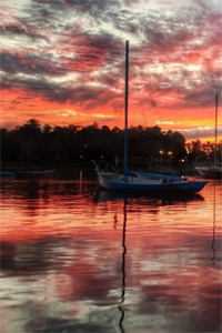 妻子被上司侮辱，我却帮上司做伪证逃避法律制裁！推荐