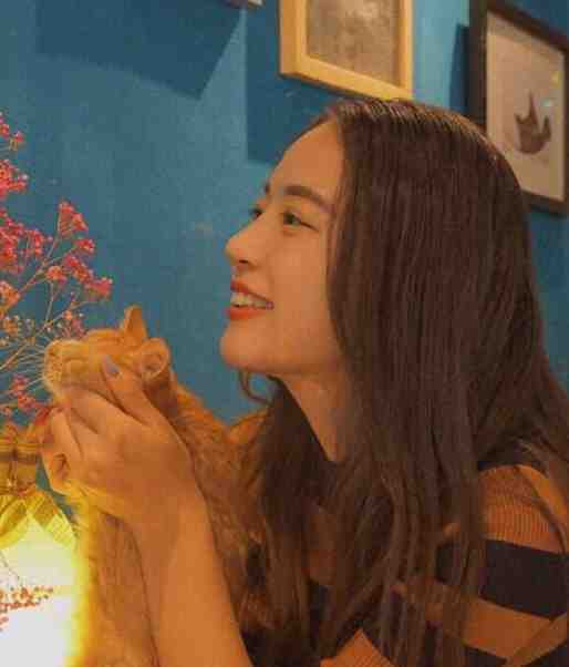 望断青山君不还无删减