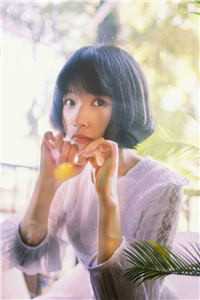 望断青山君不还优质全文阅读