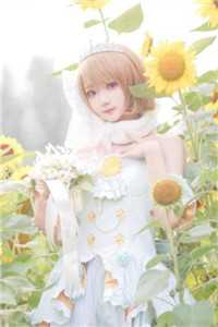 玫瑰死于盛夏已完结