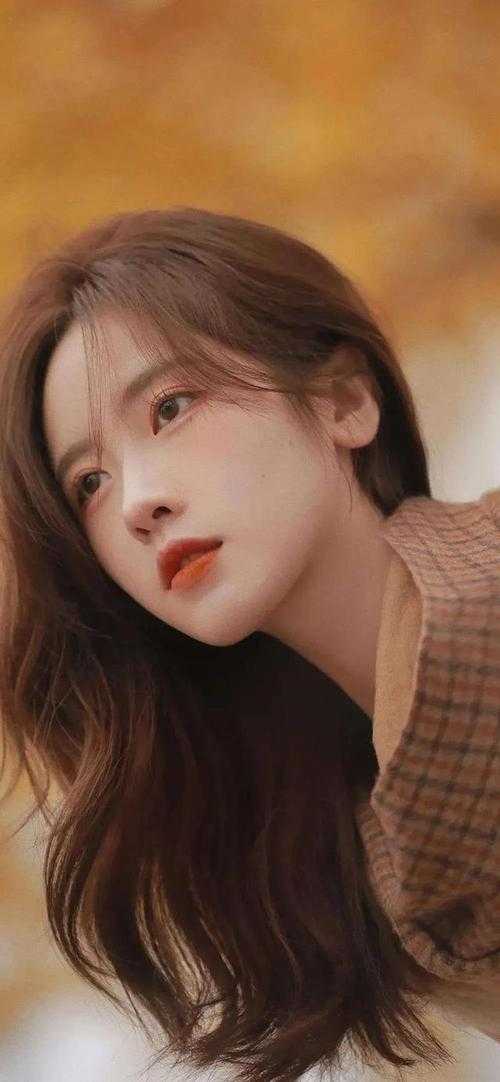 落日朝霞染芳华的小说