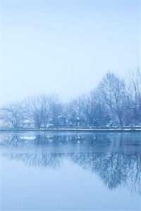 梦中双修证道，女帝师尊上瘾了全局