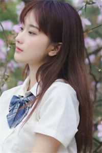 昨夜星辰昨夜风在线阅读