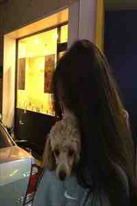 昨夜星辰昨夜风钟苒叶禅修后续+完结