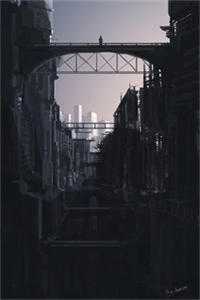 望断青山君不还全文+免费