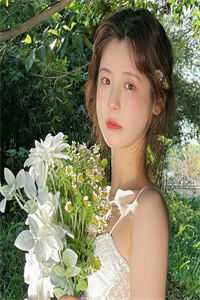 清魄渡恶魂连载