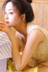 外交翻译官：我的征途是山河无恙前文+番外