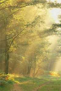 不让竹马走后台升职加薪，妻子就带领员工集体辞职威胁我！最完整版