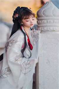 昨夜星辰昨夜风无删减+无广告