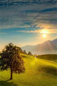 不渡寒江雪爽文