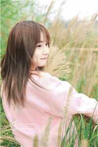 月落无声照心晚短篇小说阅读