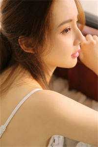 外交翻译官：我的征途是山河无恙完整阅读