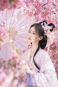 那年雨落白菊殇畅销巨著