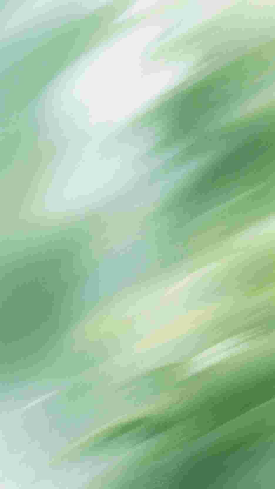 月落不再说爱你全文免费阅读