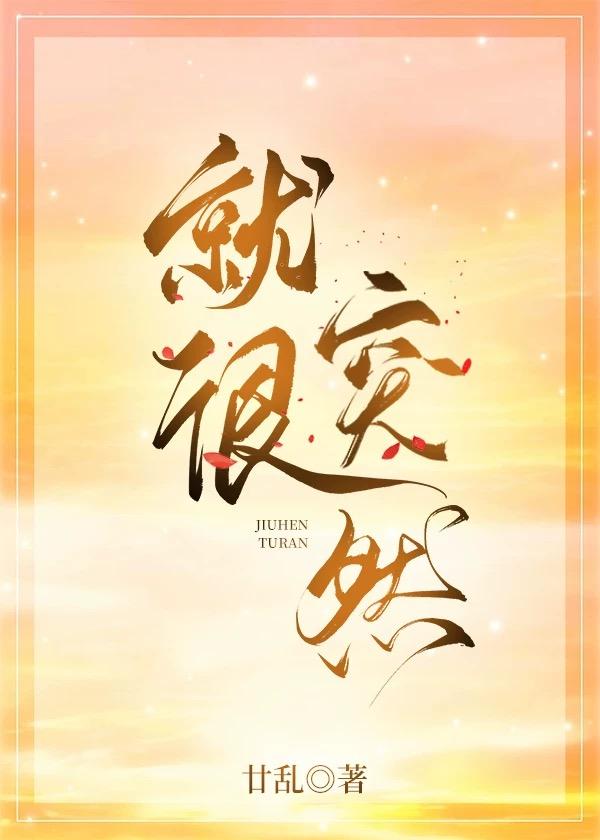 也曾途经爱情小说