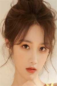 外交翻译官：我的征途是山河无恙全文