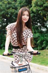 昨夜星辰昨夜风畅销巨著