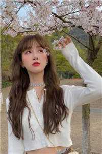 山雨来时雾蒙蒙抖音