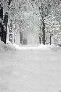 怀孕七个月，我肚子里的孩子不见了全集