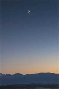 人间客借问蓬莱完结