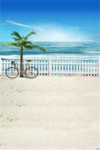 重生科举天才全摆烂，抄袭状元急疯了完整文集阅读