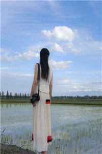 夫君要享齐人之福，却忘记我身后是整个蒙古四十九部免费阅读全文