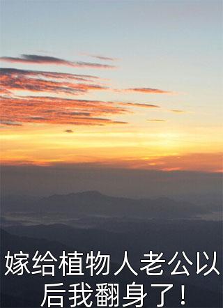 年底全村分红，人均10万我10块全本小说推荐