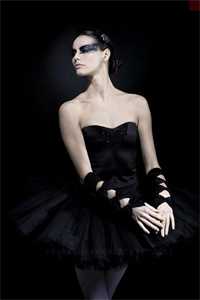 昨夜星辰昨夜风精品选集