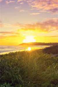 出狱后，我透视鉴宝养女儿完整版