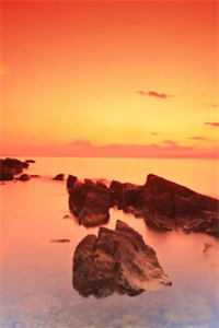 我以枯骨赴花期小说全文免费阅读