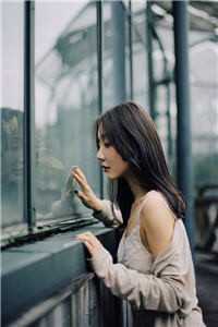 落日朝霞染芳华全球完整文集