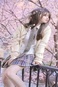 月光曾落巫山云小说结局