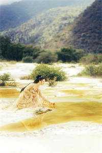 弹幕说他爱我，可他处处难为我全章节阅读