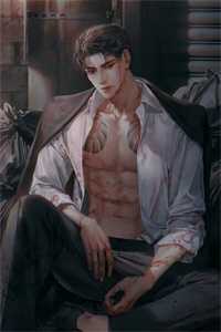 兰因絮果终成雪已完结