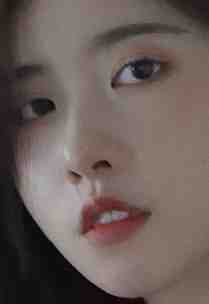 流金岁月浪漫长结局+番外