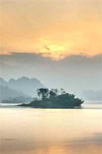 情止黎明前最完整版